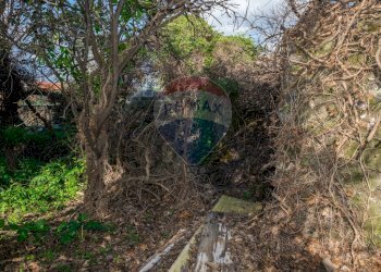 Giardino - Terreno edificabile Vico Balsamo
 
12, San Gregorio di Catania - foto 23