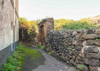 Giardino - Terreno edificabile Vico Balsamo
 
12, San Gregorio di Catania - foto 33