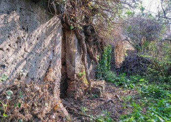 Giardino - Terreno edificabile Vico Balsamo
 
12, San Gregorio di Catania - foto 42