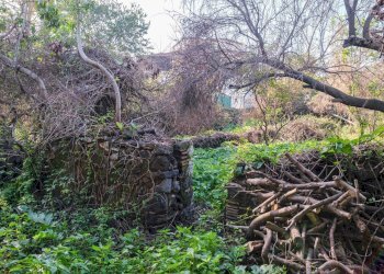 Giardino - Terreno edificabile Vico Balsamo
 
12, San Gregorio di Catania - foto 43