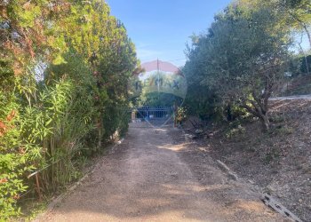 Giardino - Terreno agricolo CONTRADA ADDOLORATA, Recanati - foto 2