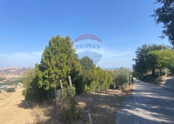 Giardino - Terreno agricolo CONTRADA ADDOLORATA, Recanati - foto 6