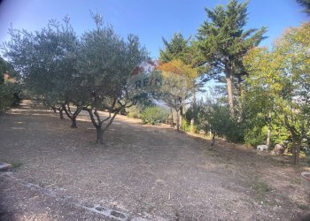 Giardino - Terreno agricolo CONTRADA ADDOLORATA, Recanati - foto 18
