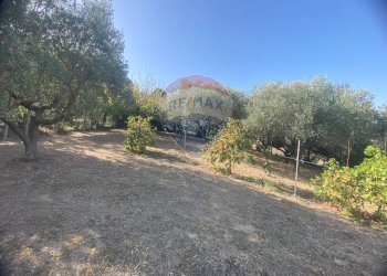 Giardino - Terreno agricolo CONTRADA ADDOLORATA, Recanati - foto 21