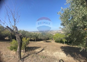 Giardino - Terreno agricolo CONTRADA ADDOLORATA, Recanati - foto 28