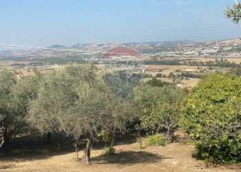 Vista delle montagne - Terreno agricolo CONTRADA ADDOLORATA, Recanati - foto 29