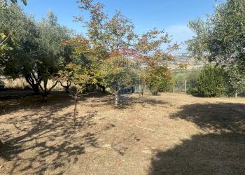 Giardino - Terreno agricolo CONTRADA ADDOLORATA, Recanati - foto 33