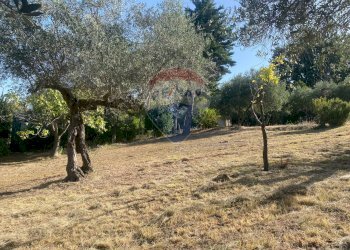 Giardino - Terreno agricolo CONTRADA ADDOLORATA, Recanati - foto 35