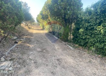 Giardino - Terreno agricolo CONTRADA ADDOLORATA, Recanati - foto 38