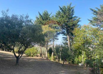 Giardino - Terreno agricolo CONTRADA ADDOLORATA, Recanati - foto 39