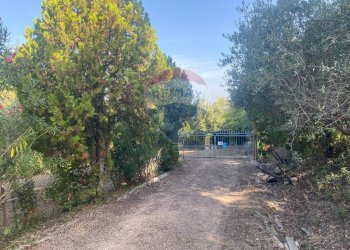 Giardino - Terreno agricolo CONTRADA ADDOLORATA, Recanati - foto 41