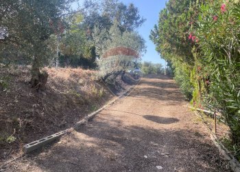 Giardino - Terreno agricolo CONTRADA ADDOLORATA, Recanati - foto 43