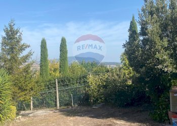 Giardino - Terreno agricolo CONTRADA ADDOLORATA, Recanati - foto 48