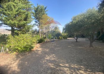 Giardino - Terreno agricolo CONTRADA ADDOLORATA, Recanati - foto 51