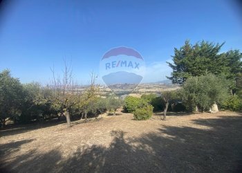 Giardino - Terreno agricolo CONTRADA ADDOLORATA, Recanati - foto 53