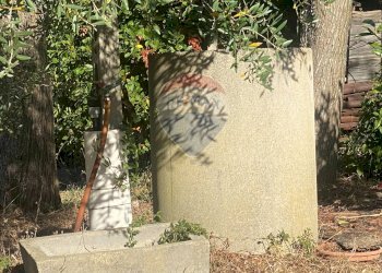 Giardino - Terreno agricolo CONTRADA ADDOLORATA, Recanati - foto 55