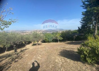 Giardino - Terreno agricolo CONTRADA ADDOLORATA, Recanati - foto 56