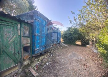 Giardino - Terreno agricolo CONTRADA ADDOLORATA, Recanati - foto 57