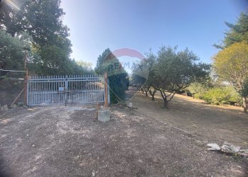 Non correlato - Terreno agricolo CONTRADA ADDOLORATA, Recanati - foto 58