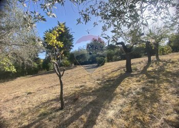 Giardino - Terreno agricolo CONTRADA ADDOLORATA, Recanati - foto 68