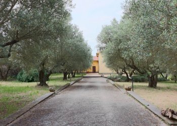 Foto 2 - Villa VIA DELLA CAVA LOCALITA' DOGANE, Vetralla - foto 2