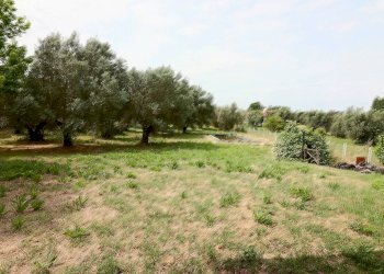 Foto 11 - Villa VIA DELLA CAVA LOCALITA' DOGANE, Vetralla - foto 11