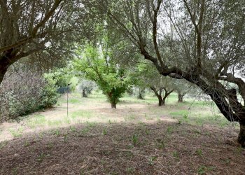 Foto 13 - Villa VIA DELLA CAVA LOCALITA' DOGANE, Vetralla - foto 13