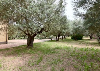 Foto 14 - Villa VIA DELLA CAVA LOCALITA' DOGANE, Vetralla - foto 14