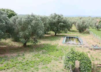 Foto 29 - Villa VIA DELLA CAVA LOCALITA' DOGANE, Vetralla - foto 29