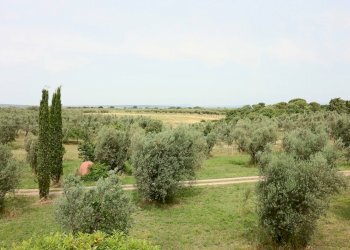 Foto 30 - Villa VIA DELLA CAVA LOCALITA' DOGANE, Vetralla - foto 30