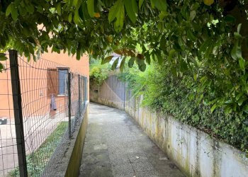 Giardino - Quadrilocale Picinisco - foto 55