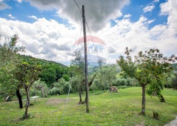 Giardino - Independent house Contrada Tiboni
 
33, Bucchianico - photo 18