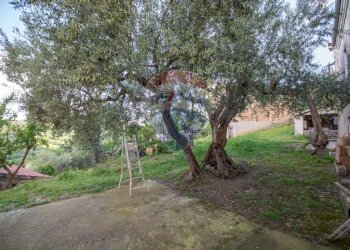 Giardino - Independent house Contrada Tiboni
 
33, Bucchianico - photo 19