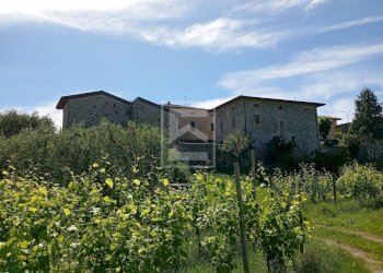 Foto 2 - Rustico Via San Vincenzo, Puegnago sul Garda - foto 2