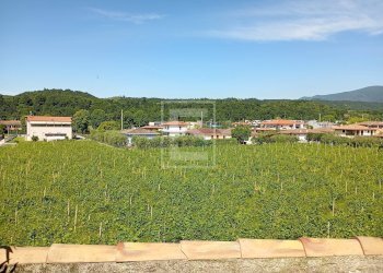 Foto 19 - Rustico Via San Vincenzo, Puegnago sul Garda - foto 19