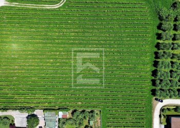 Foto 41 - Rustico Via San Vincenzo, Puegnago sul Garda - foto 41