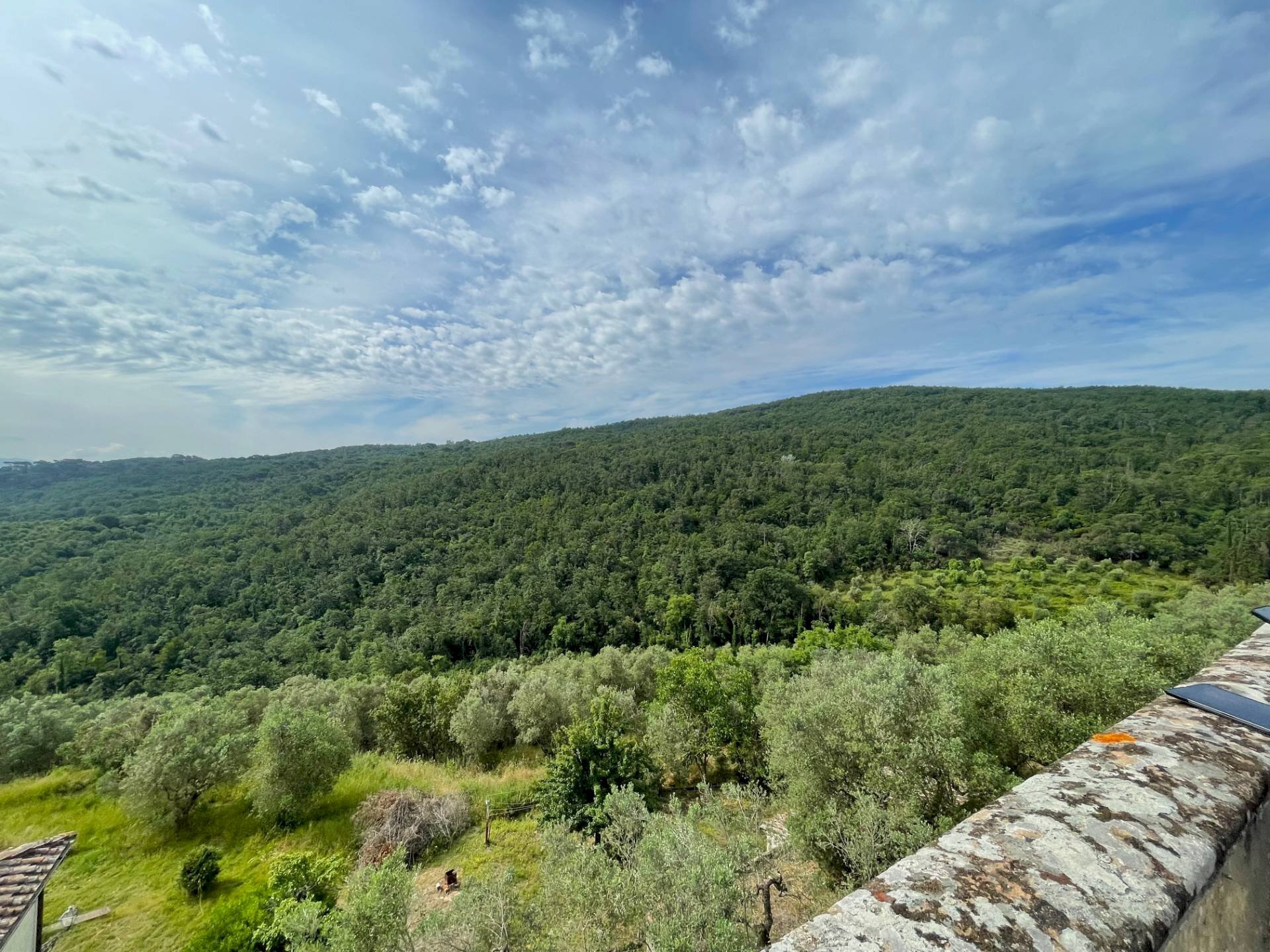 Foto 1 - Trilocale via Santa Zanobi
 
1, Scandicci - foto 1