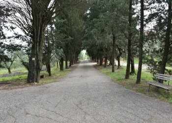 Foto 9 - Apartment via Santa Zanobi
 
1, Scandicci - photo 9