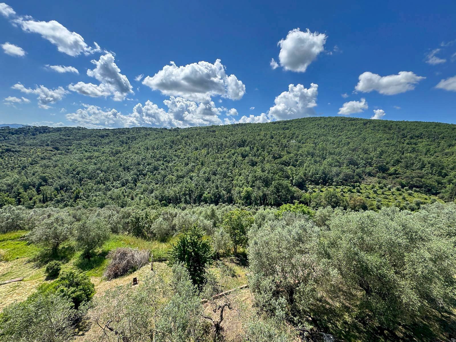 Foto 3 - Trilocale via Santa Zanobi
1, Scandicci - foto 3