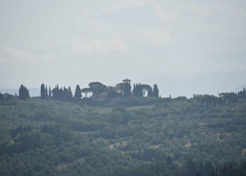 Foto 6 - Trilocale via Santa Zanobi
 
1, Scandicci - foto 6