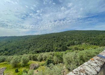 Foto 4 - Trilocale via Santa Zanobi
 
1, Scandicci - foto 4