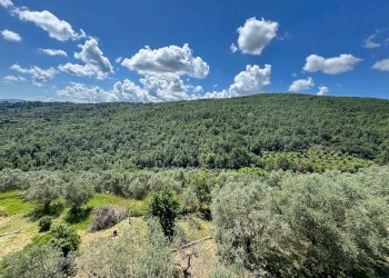 Foto 1 - Quadrilocale via Santa Zanobi
 
1, Scandicci - foto 1