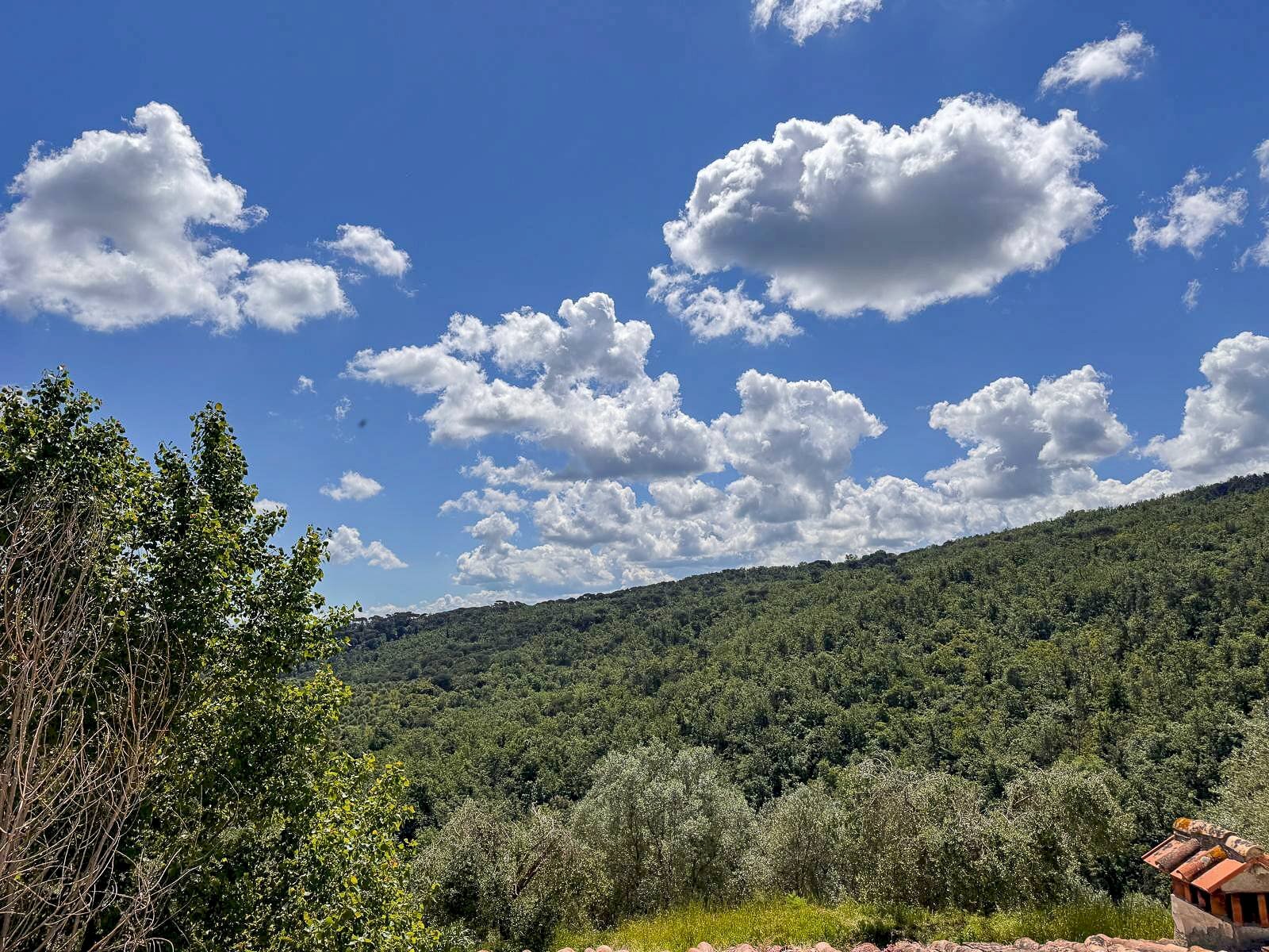 Foto 3 - Quadrilocale via Santa Zanobi
 
1, Scandicci - foto 3