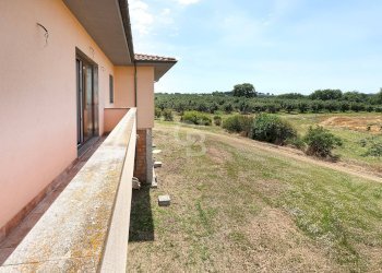 Foto 8 - Villa Strada Teverina, Viterbo - foto 8