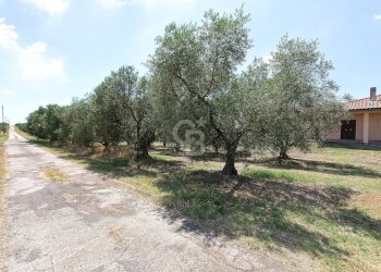 Foto 24 - Villa Strada Teverina, Viterbo - foto 24