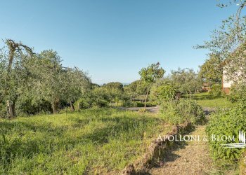 Appartamento SP 146, snc, Montepulciano - foto 23