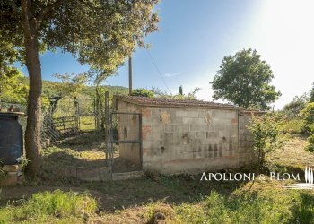 Appartamento SP 146, snc, Montepulciano - foto 24