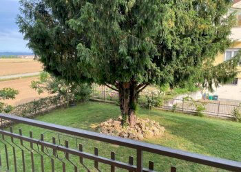 Balcone - Villa via Stefano Blengino, 30, Magliano Alpi - photo 29