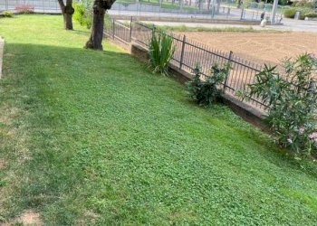 Giardino - Villa via Stefano Blengino, 30, Magliano Alpi - photo 34