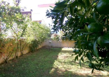 Giardino - Villa via del Monumento, Anzio - photo 13